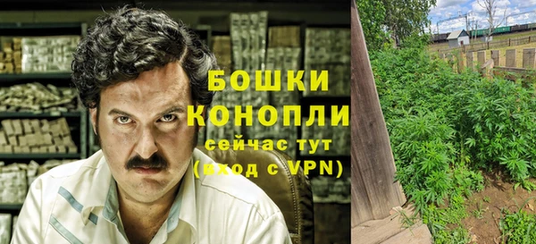 прущие грибы Белокуриха