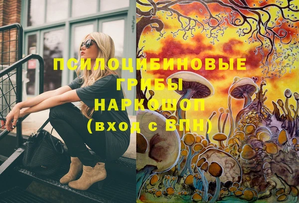 ПСИЛОЦИБИНОВЫЕ ГРИБЫ Беломорск