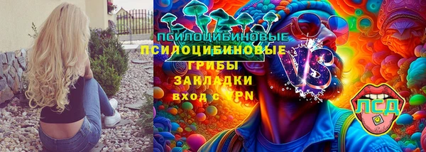 прущие грибы Белокуриха