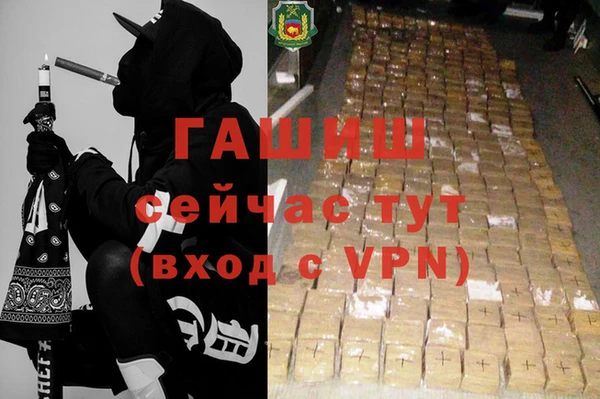 прущие грибы Белокуриха