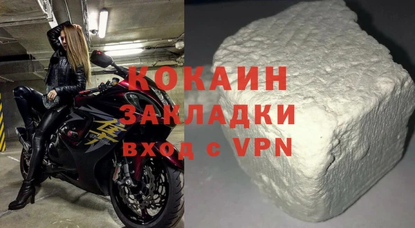 прущие грибы Белокуриха