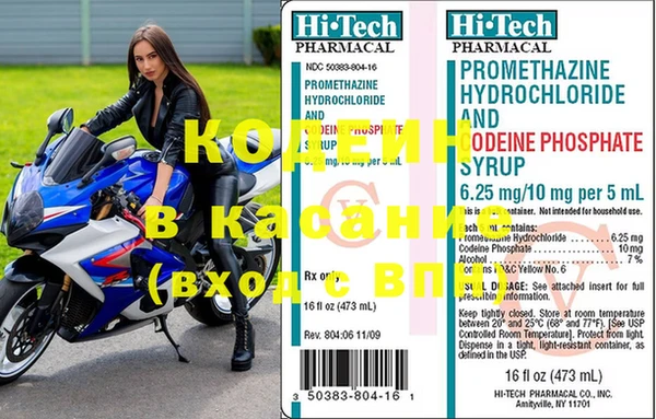 прущие грибы Белокуриха
