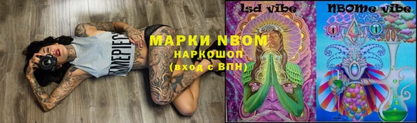прущие грибы Белокуриха