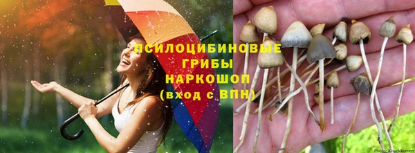 MESCALINE Белоозёрский