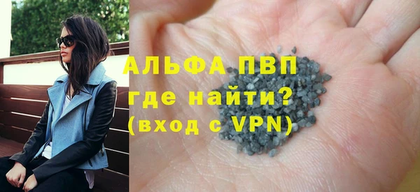 прущие грибы Белокуриха