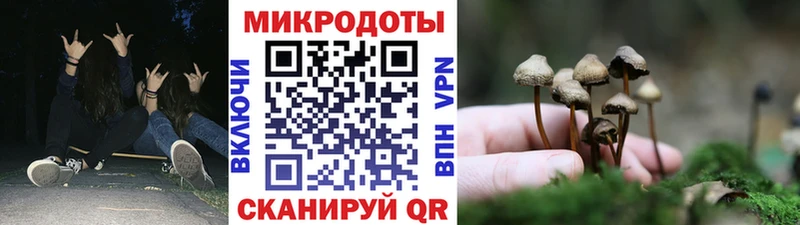 Галлюциногенные грибы MAGIC MUSHROOMS  Ворсма 